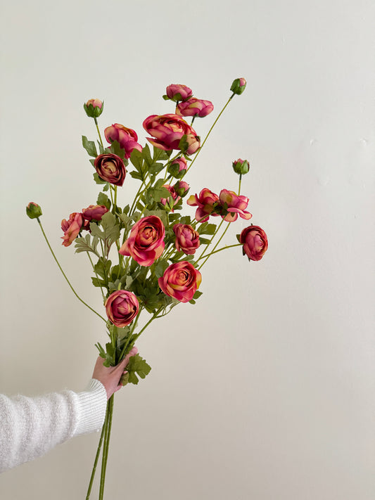 Spray Ranunculus