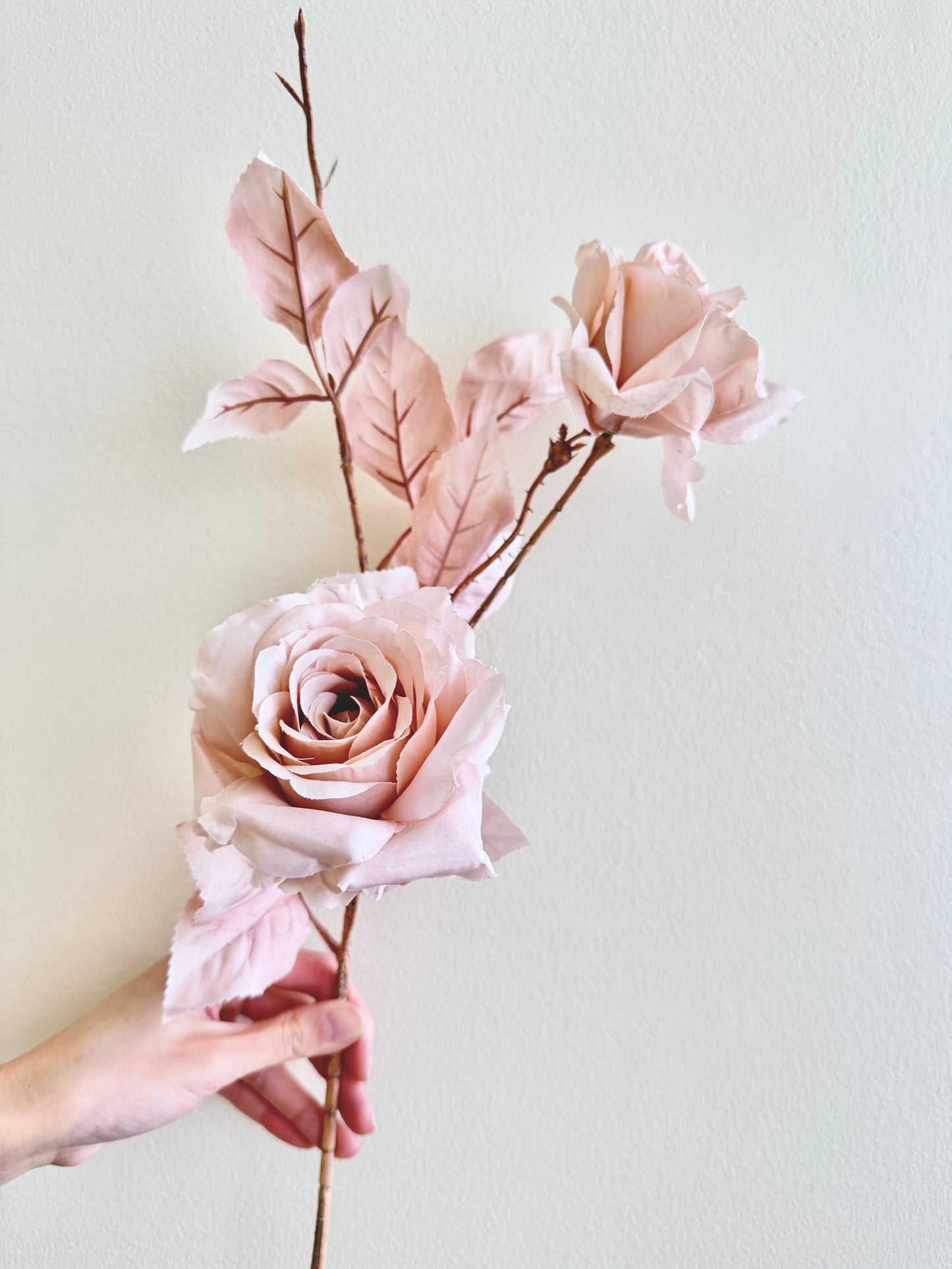 Rose with 5 Head - Quick sand