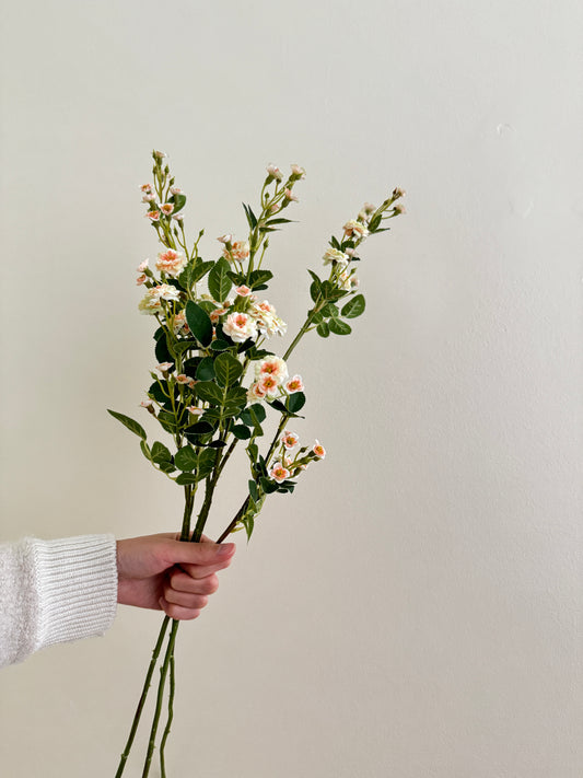 Chinese Plum Blossom