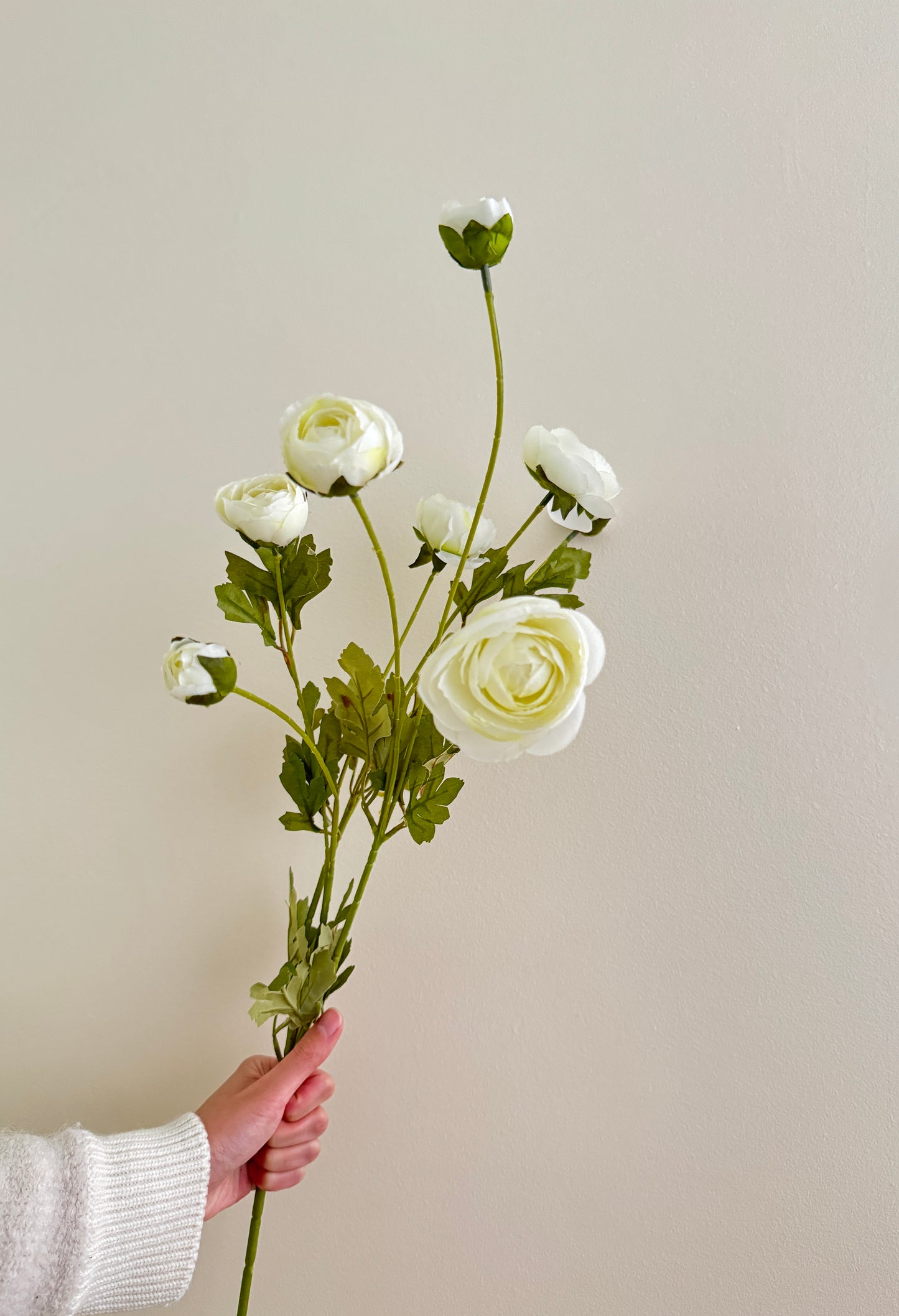 Spray Ranunculus