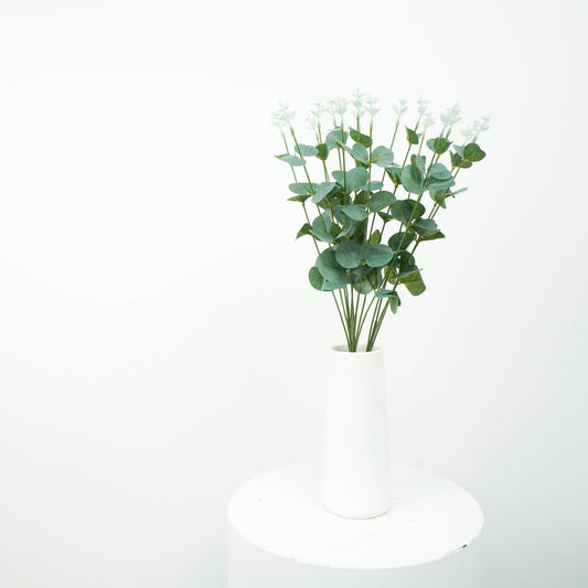 Eucalyptus - bunch
