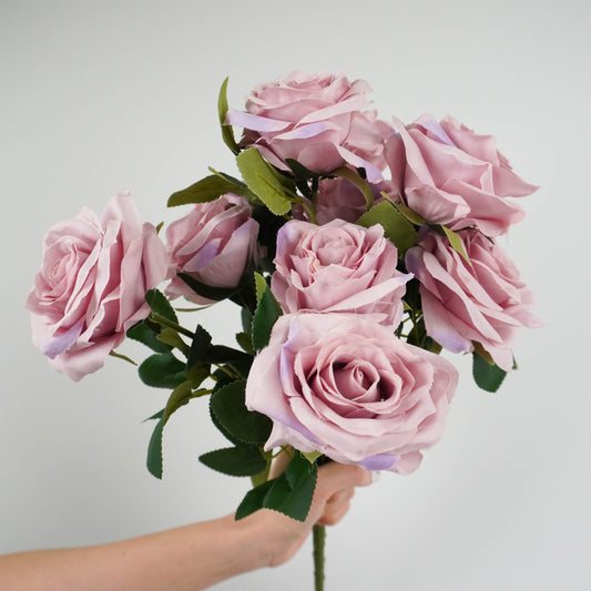 Ocean Song Rose Bushes