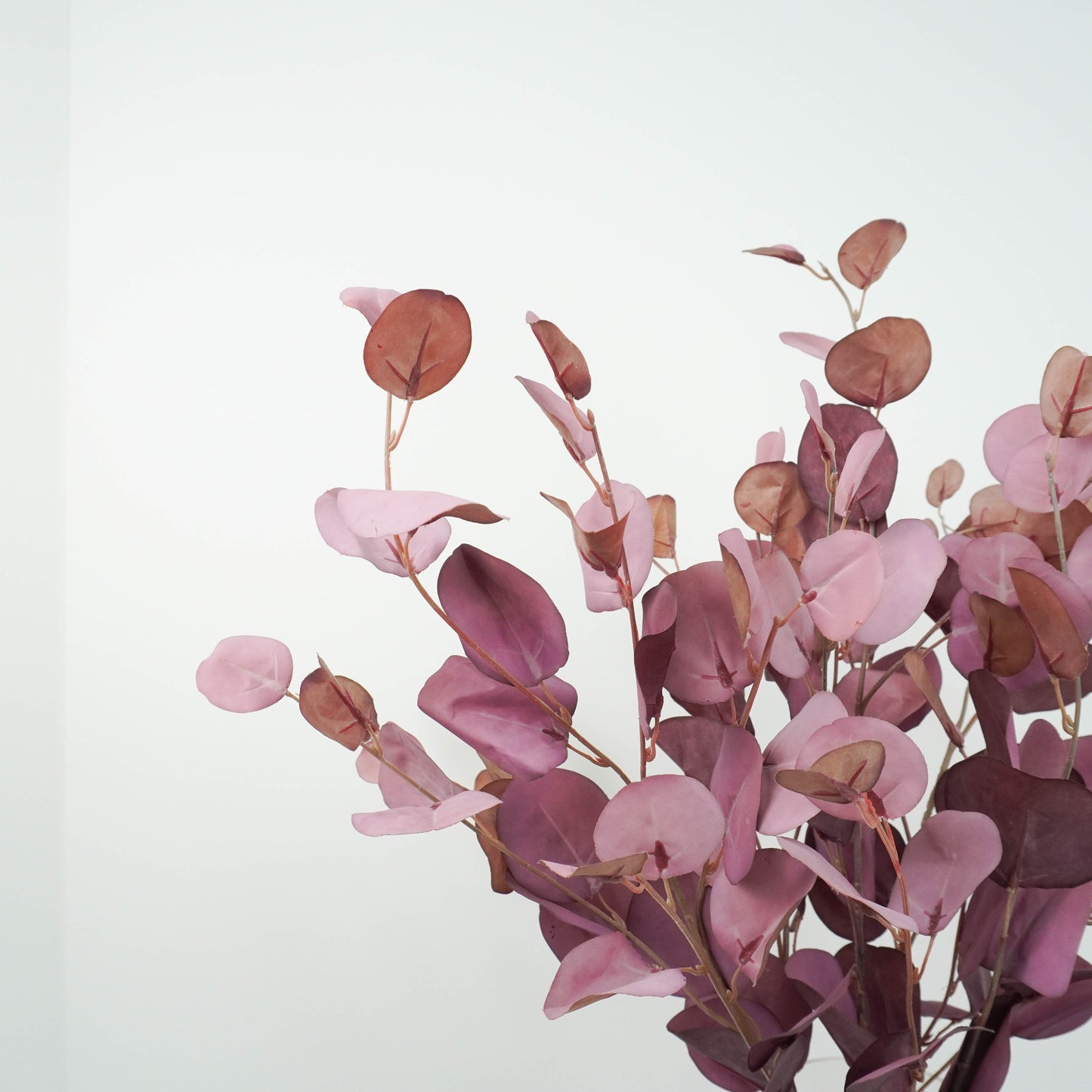 Eucalyptus Round Shape