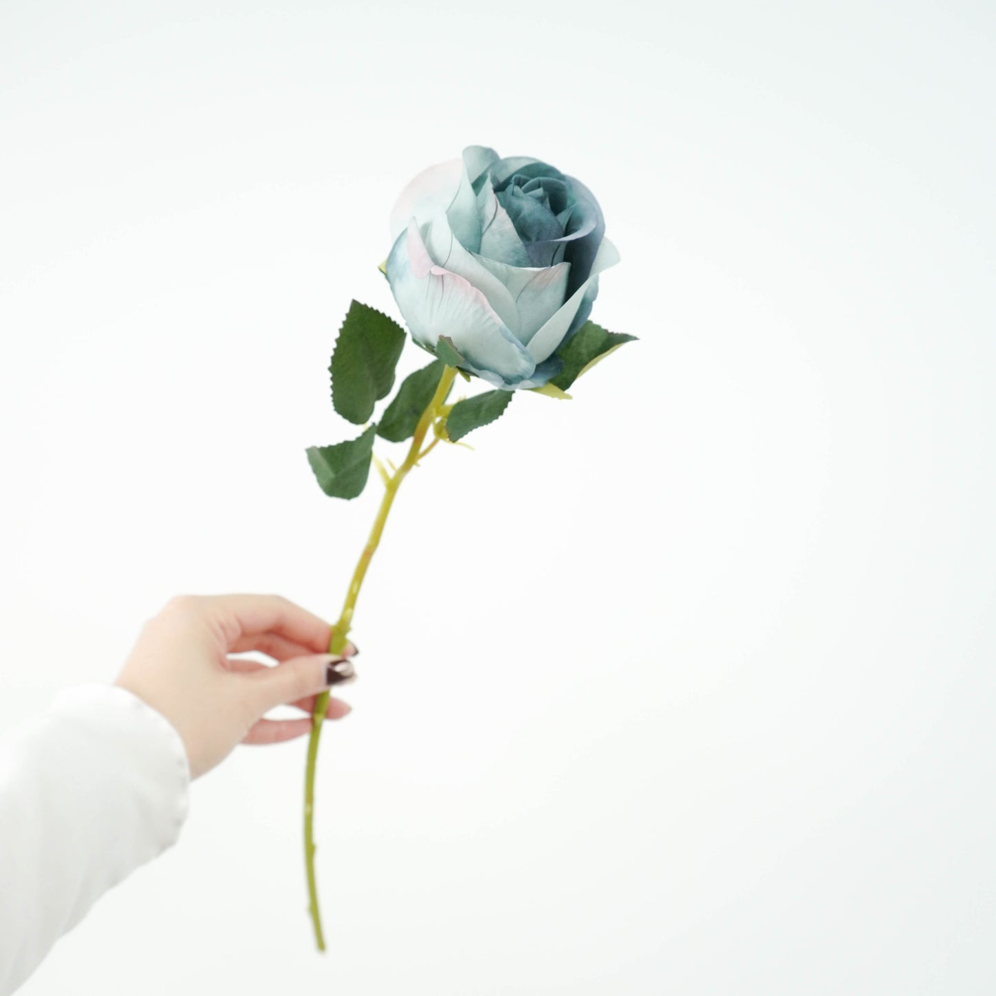 Rose - Dusty Blue
