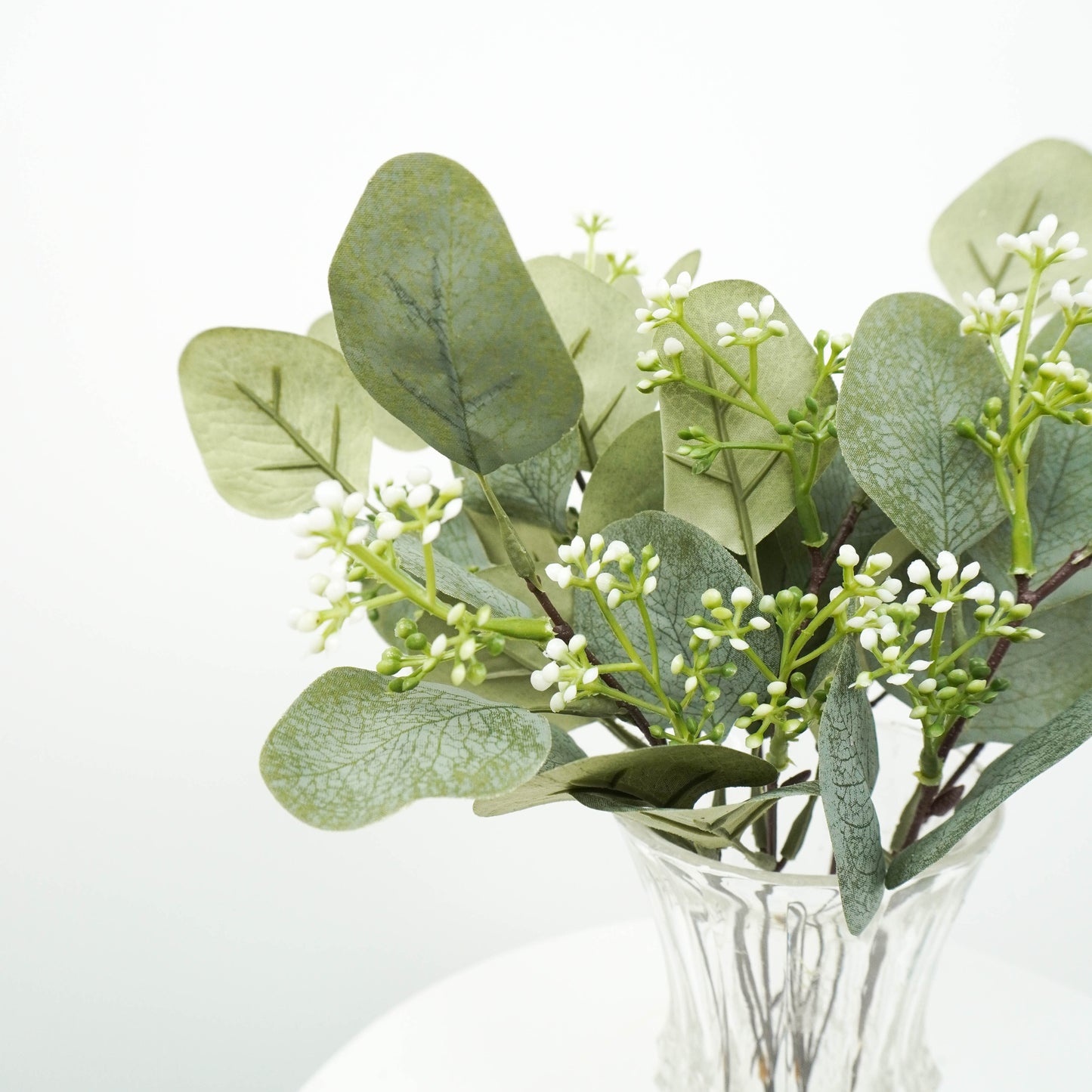 Eucalyptus