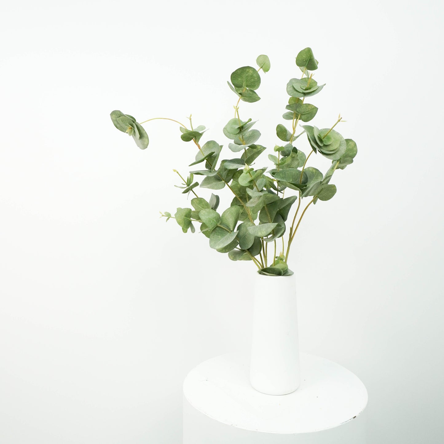Eucalyptus