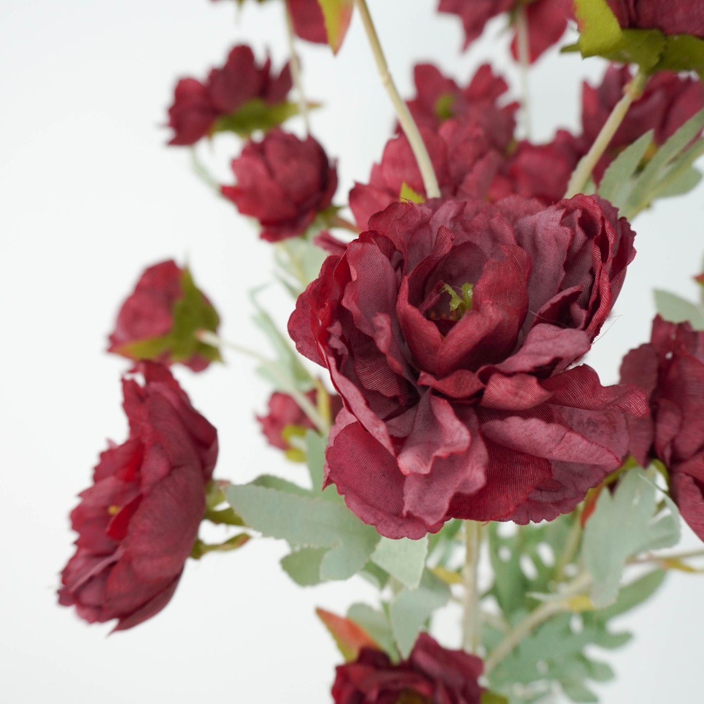 Spray Peony