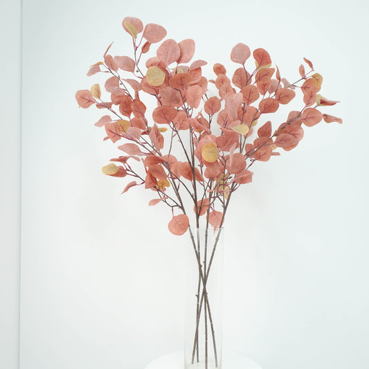 Eucalyptus Round Shape