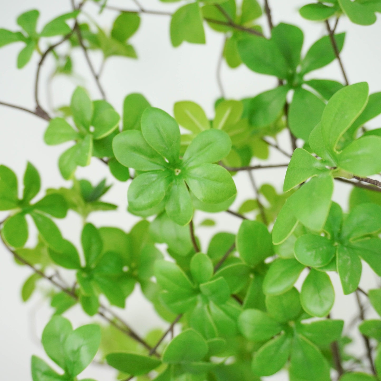 Chinese New Year Flower