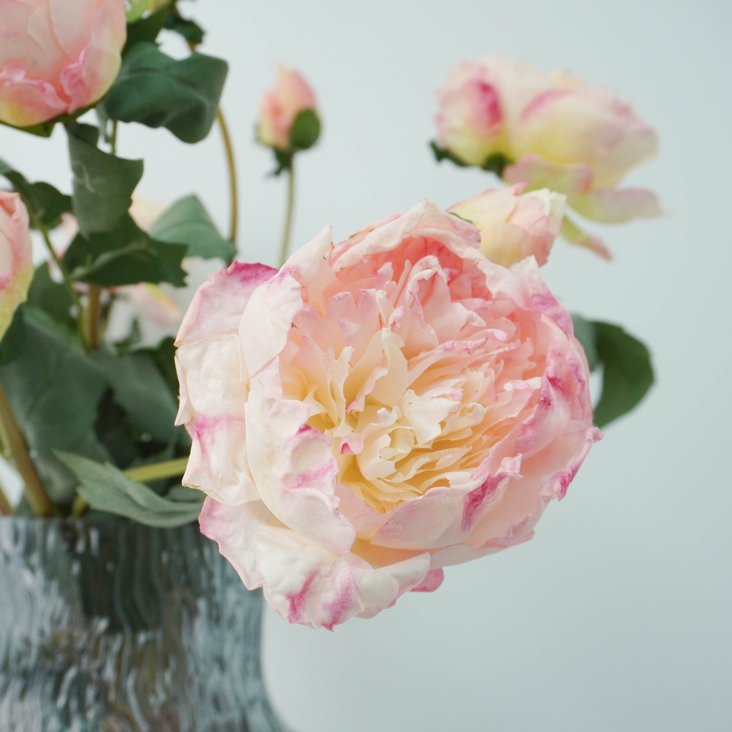 Peony - Champagne pink