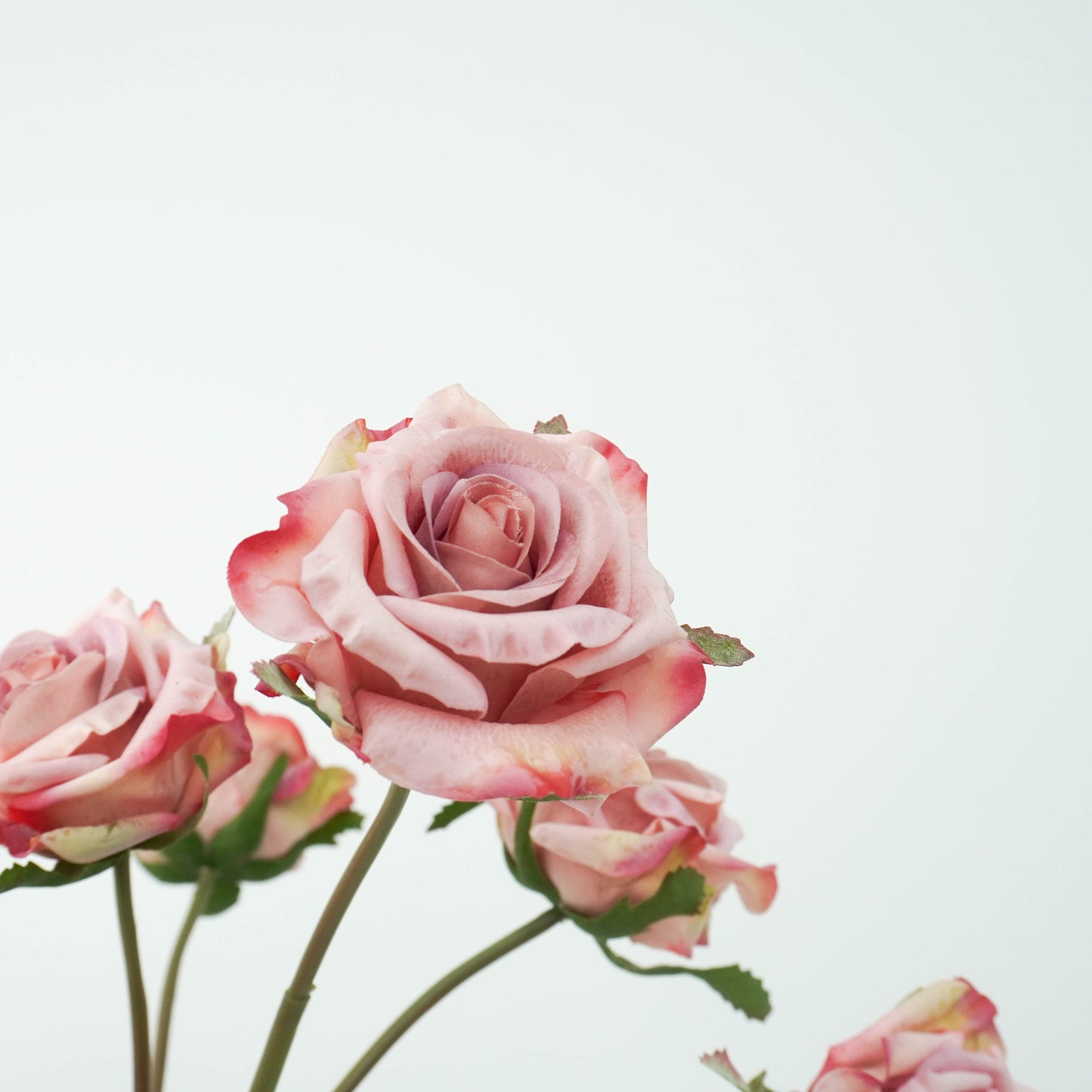 Rose - Smokey Pink