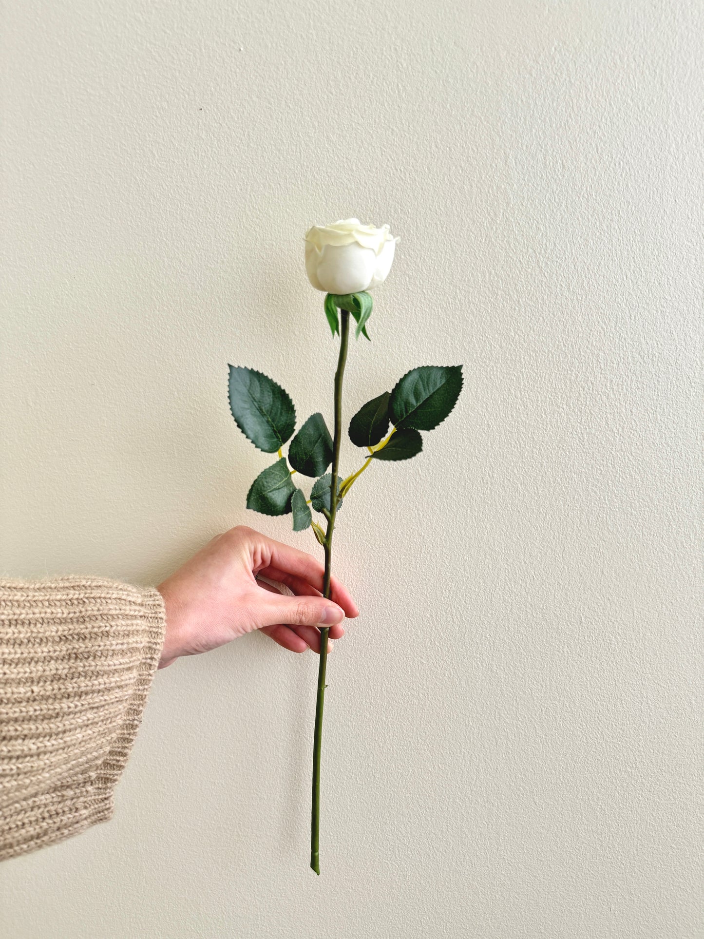 Small Rose Stem