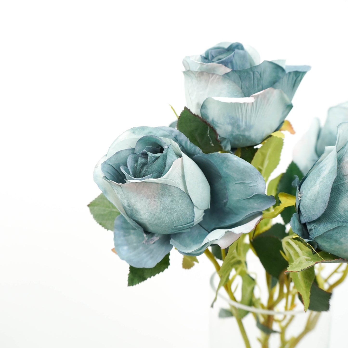 Rose - Dusty Blue